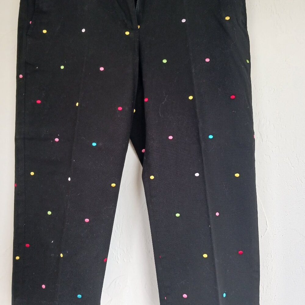 Briggs New York Capris SZ 10P